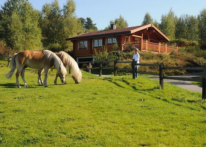 Hotelanlage Country 4* Arnsberg